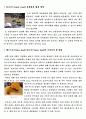 [영양학] 패스트푸드(Fast Food)와 슬로우푸드(Slow Food) 차이점 11페이지