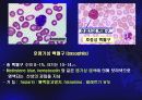 혈구관찰 및 혈액형 검사 10페이지