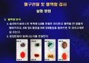 혈구관찰 및 혈액형 검사 19페이지