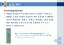 종이 크로마토그래피(Paper chromatography) 4페이지
