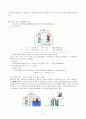 화학전지 및 농도차 전지 6페이지