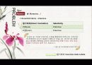 댕기머리-경영전략,마케팅,신제품개발 16페이지