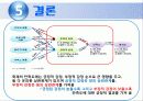등축제_조사통계_축제경영마케팅 29페이지