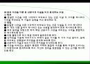 매체와_국어교육 24페이지