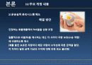 물류시스템분석 15페이지