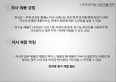 미국 유기농 21페이지