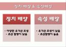 발효식품-식초,막걸리 13페이지