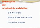 비만-다이어트,건강,웰빙 12페이지