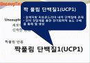 비만-다이어트,건강,웰빙 14페이지