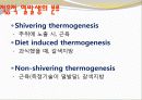 비만-다이어트,건강,웰빙 16페이지