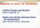 비만-다이어트,건강,웰빙 21페이지