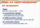 비만-다이어트,건강,웰빙 22페이지