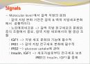 비만-다이어트,건강,웰빙 25페이지