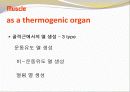 비만-다이어트,건강,웰빙 27페이지