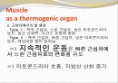 비만-다이어트,건강,웰빙 28페이지