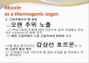 비만-다이어트,건강,웰빙 29페이지