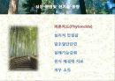 사회적_기업가_정신 13페이지