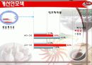 삼화식품-기엄소개,경영전략 15페이지