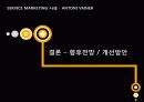 서비스마케팅사레-안토니바이네르 SWOT 4P 33페이지