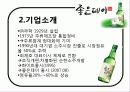 성공사례분석 5페이지