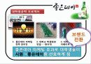 성공사례분석 9페이지