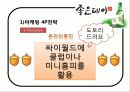 성공사례분석 24페이지
