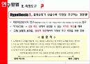 [소비심리-사례조사 연구] 출생 순서가 소비 심리에 미치는 영향 13페이지