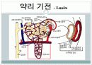 약리학_심맥 18페이지