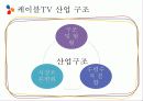 [영상산업의 이해] CJ E&M의 미디어 사업 4페이지
