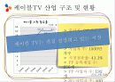 [영상산업의 이해] CJ E&M의 미디어 사업 6페이지
