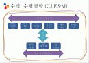 [영상산업의 이해] CJ E&M의 미디어 사업 8페이지