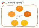 [영상산업의 이해] CJ E&M의 미디어 사업 9페이지
