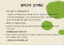 정치발전 -선거,민주주이,군중,시민 20페이지