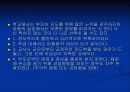 학력_부진_아동의_특징_및_발생_원인에_대한 28페이지