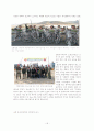 한국델파이 20페이지
