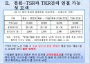한러경제협력-국제협상 5페이지