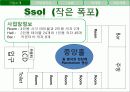 Ssol____작은_폭포 6페이지