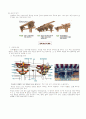 전통한옥의 구조와 부재의 명칭 11페이지
