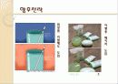 스킨푸드 마케팅사례분석과 향후전략제안 20페이지