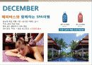 해피바스 마케팅전략분석 23페이지