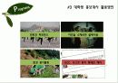 푸르지오 PRUGIO 마케팅전략 기획서 13페이지