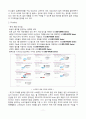 노비타(novita) 비데 마케팅 전략분석 및 나의의견 11페이지