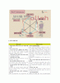 Olleh KT(올레KT) 마케팅 SWOT,STP,4P사례분석및 새로운 마케팅전략제안 및 나의의견 12페이지