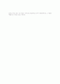 중국문학 13페이지