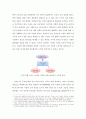 금융 위기에 대응한 한미 재정정책과 전망- 불황에 대응한 고용 관리 정책을 중심으로 17페이지