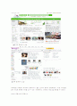 포털싸이트 홈페이지의 인터페이스 디자인 4페이지