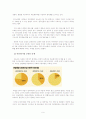 다문화가정 개념,문제점,긍정적,부정적요인분석,제도적해결책,나의견해 9페이지
