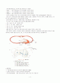 심전도 검사(Electrocardiogram, ECG) 4페이지
