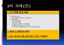 블루오션 전략을 활용한 인터넷 마케팅 계획 15페이지