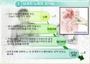 성기능 장애와 치료 노화와 성기능 21페이지